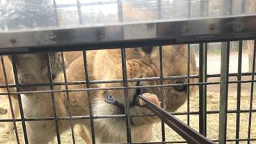 観光スポット / 19