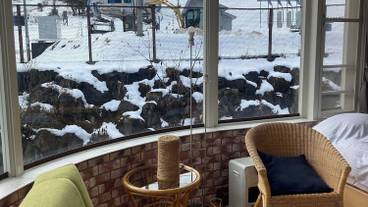 部屋からの景観 / 28