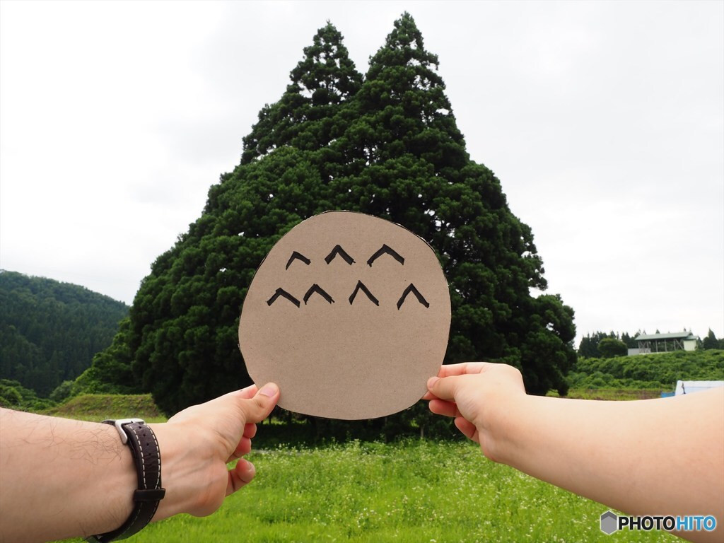 トトロにそっくり！？大きな木2155010