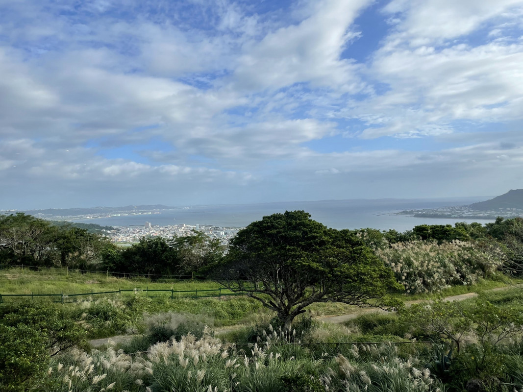 部屋からの眺望は素晴らしい