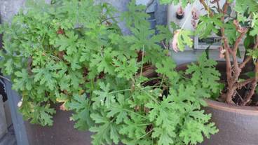 施設の入り口 / 8