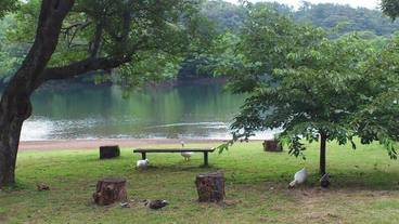 施設からの眺望 / 16