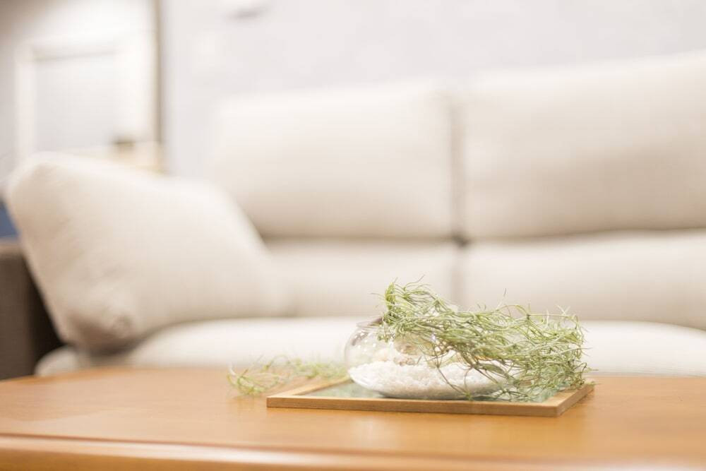 リビング エリア