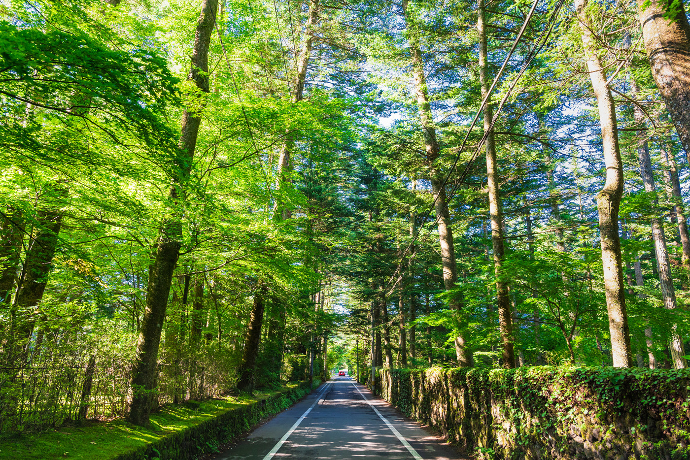 夏の軽井沢　別荘が建ち並ぶエリア