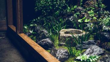 ガーデン ビュー / 6