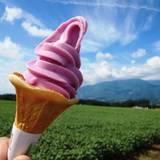 ブルーベリー明野（ブルーベリーアケノ）