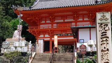 観光スポット / 11