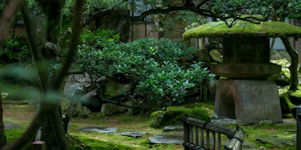 庭園