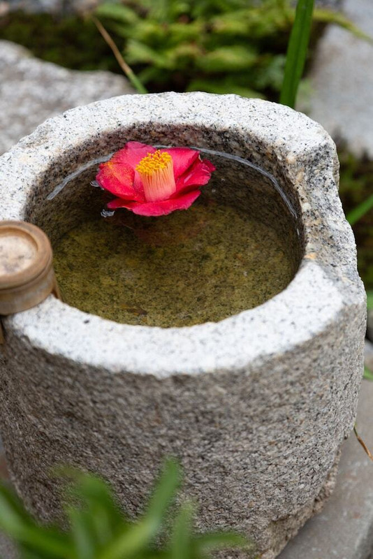 ガーデン ビュー