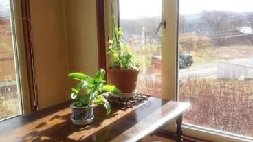 施設からの眺望 / 15