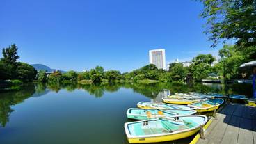 中島公園の菖蒲池 / 1
