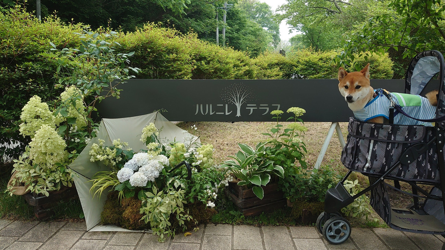 pinky.yuki_go.kam2さんの写真 / 2