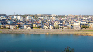 ジュニア スイート