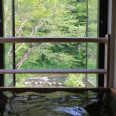 夏油高原温泉郷 美人の湯 瀬美温泉 桐の花 山吹の花（岩手県 旅館） / 4