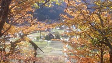 観光スポット / 9