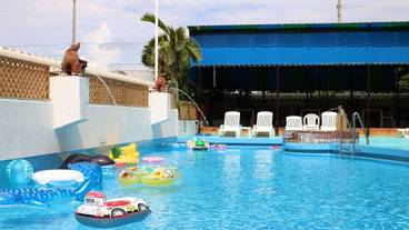 屋外プール / 12