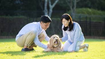 ペット同伴可 / 3