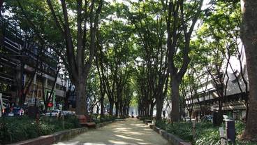 施設の敷地 / 16