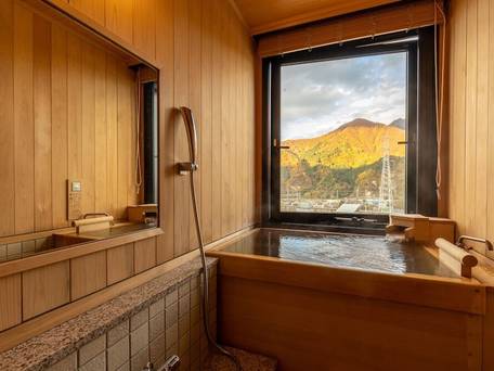 越後湯沢温泉 湯けむりの宿 雪の花 / 3