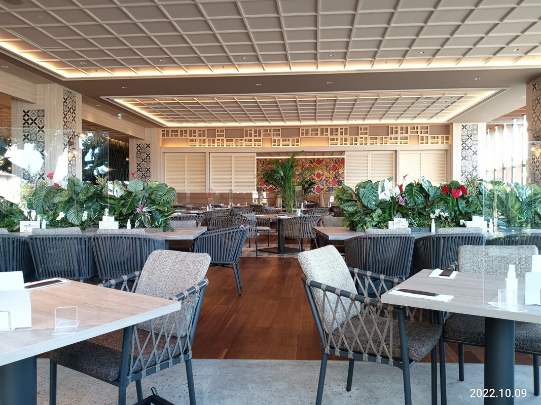 事前のアプリ登録でビュッフェが割引になります