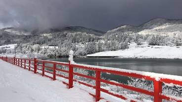 施設からの眺望 / 17