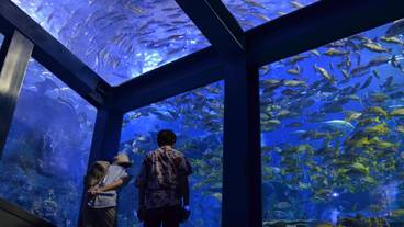 観光スポット / 2