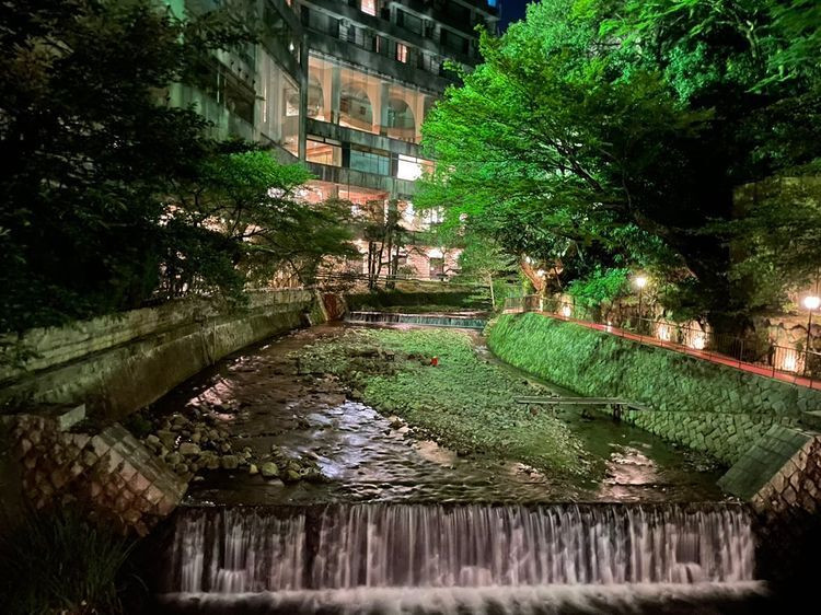 mami__k2さんの写真 / 2