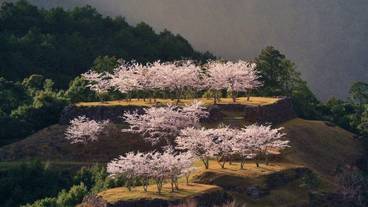 施設の敷地 / 24