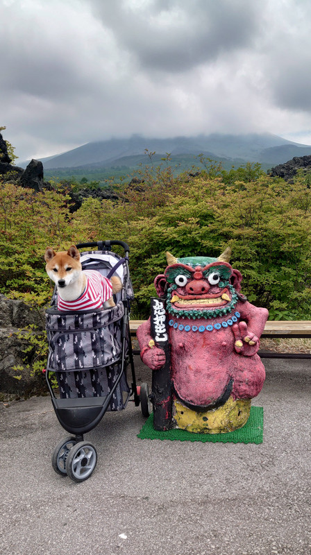 pinky.yuki_go.kam2さんの写真 / 4