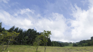 クラシック ルーム