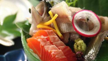 食事・飲み物 / 31