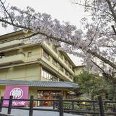 国民宿舎 みやじま杜の宿(広島県 旅館) / 4