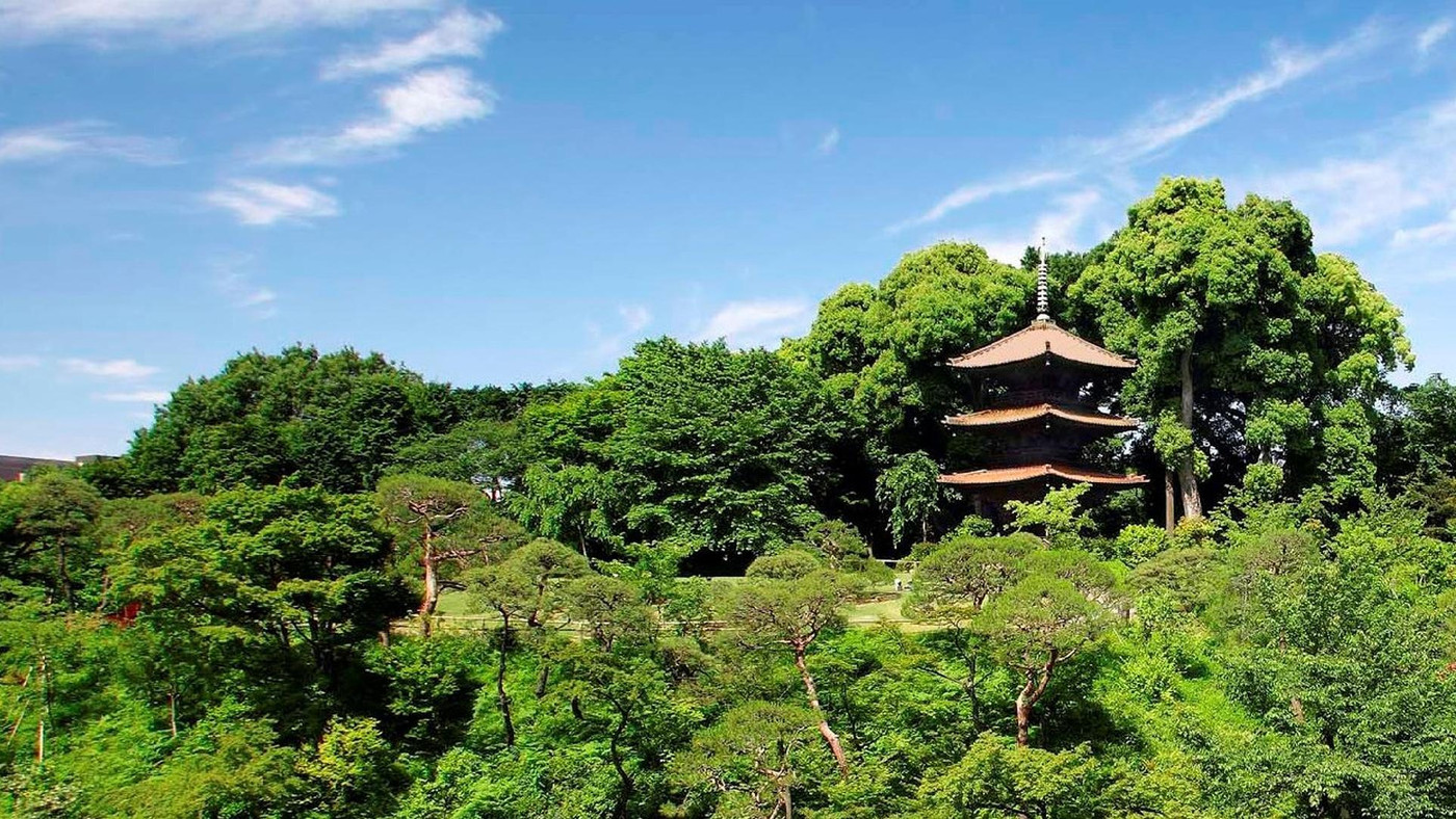 森林浴まで出来そうなほどの広大な庭園3968432