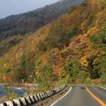 秋は北海道支笏湖へ！癒しの紅葉を眺めよう♪
