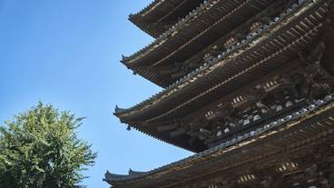 観光スポット / 11