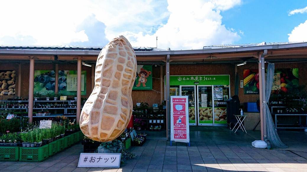 道の駅木更津 うまくたの里 / 1
