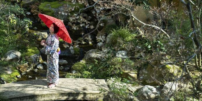 美作三湯 湯郷温泉 季譜の里(岡山県 旅館) / 1