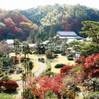 様々な角度から観賞できる庭園を散歩しよう3720154