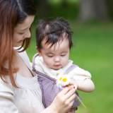 豊かな自然を感じる
心地よい京都の朝 / 4