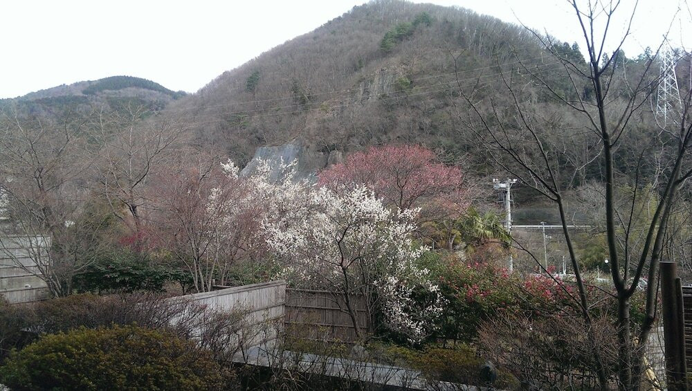 施設からの眺望