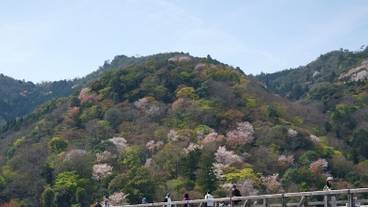 シティ ビュー / 16