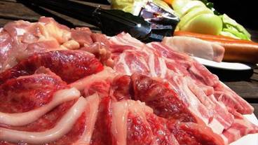 バーベキュー / ピクニック エリア / 19