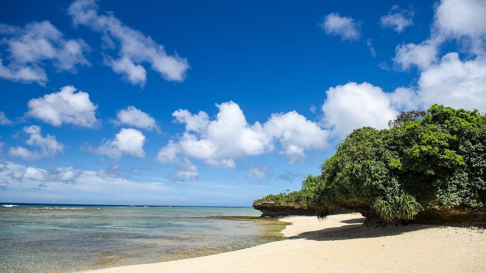 施設からの眺望