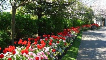 観光スポット / 18