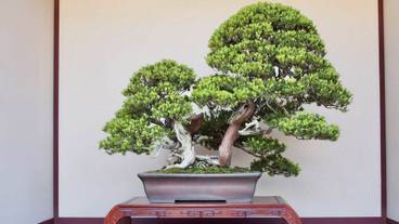 観光スポット / 12