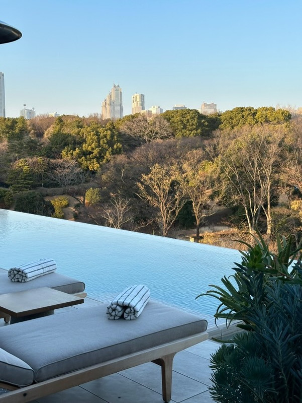 newn0819さんの写真 / 2