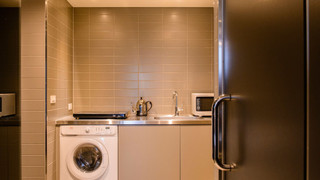 エグゼクティブマチュアダブル (キッチン, 洗濯機付) 禁煙