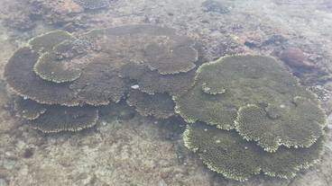 施設からの眺望 / 24