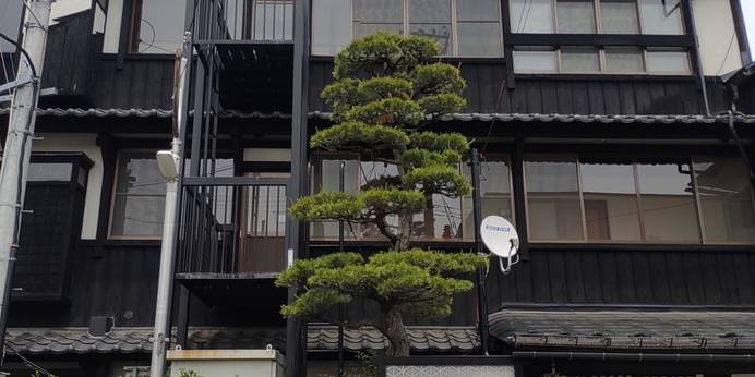 赤湯温泉 大正ロマン香る癒しの宿 丹波館（山形県 旅館） / 1