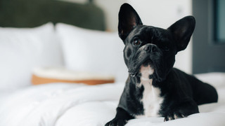 ルーム クイーンベッド 1 台 禁煙 シティビュー